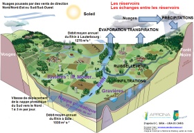 Le cycle de l'eau en Alsace