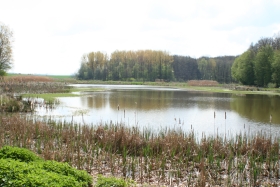 Étang de Nérac après renaturation