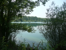 Gravière après travaux de renaturation à Sterne pierregarin (Lauterbourg)
