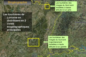 Tourbières des Vosges du nord et du sud 