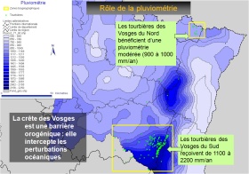 Rôle de la pluviométrie