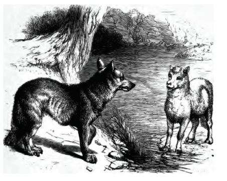 Le_loup_et_agneau_G-F_Townsend_1867_GB