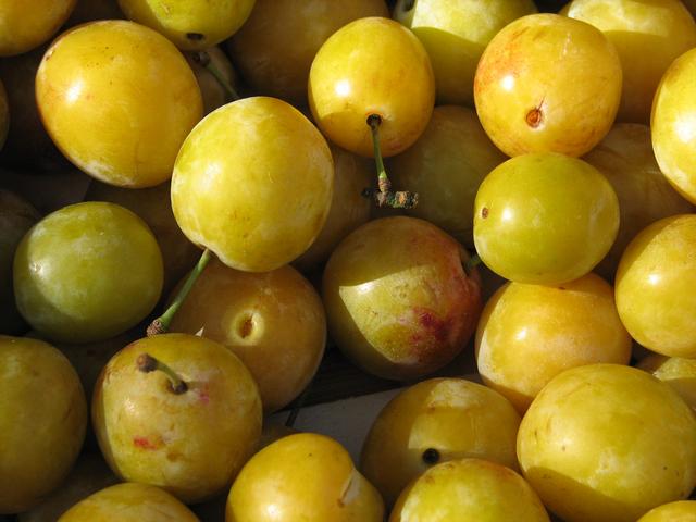 Des mirabelles