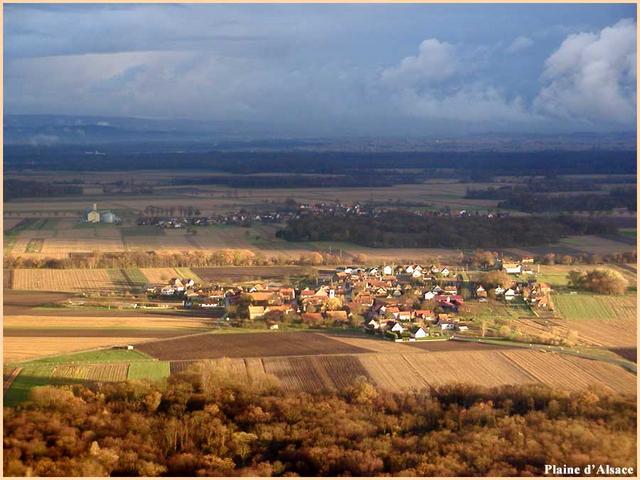 Plaine d'Alsace