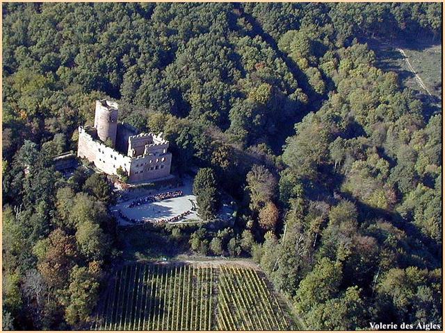 Château de Kientzheim et volerie des Aigles 