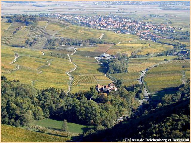 Bergheim et château de Reichenberg 