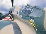 Curtiss P40 