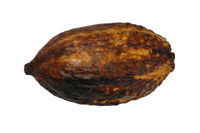 Cabosse de cacao