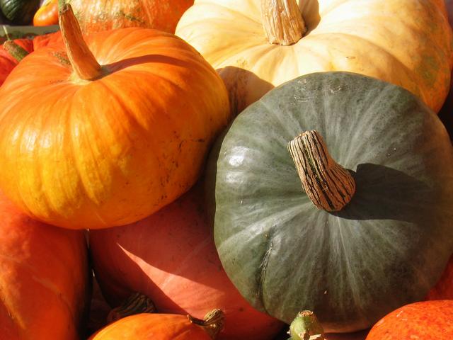 Courges et potirons 