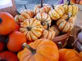 Petites citrouilles