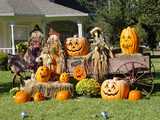 
        Citrouilles, potirons, courges et Cie 
    