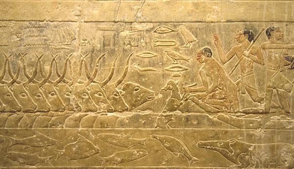 Saqqara : mastaba 