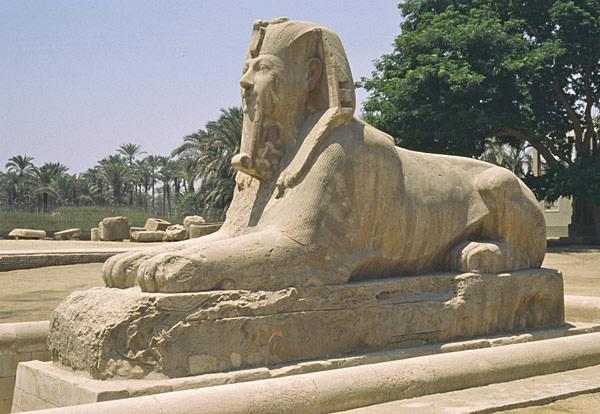 Memphis : Sphinx