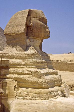 Guizeh : Sphinx 