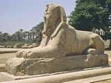 Memphis : Sphinx