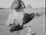 The Pyramids of Gizeh : the Sphinx 