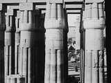 Luxor : temple of Luxor - hypostyle hall  