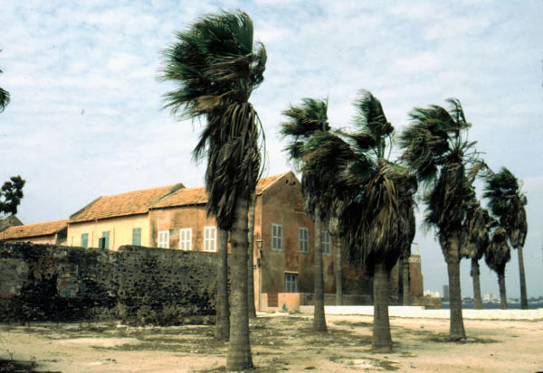 Île de Gorée : batterie nord