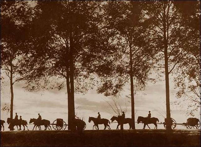 Chariots transportant les munitions au crépuscule