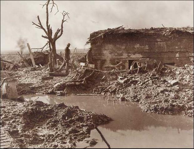 Casemate allemande dans un environnement caractéristique du saillant d'Ypres 