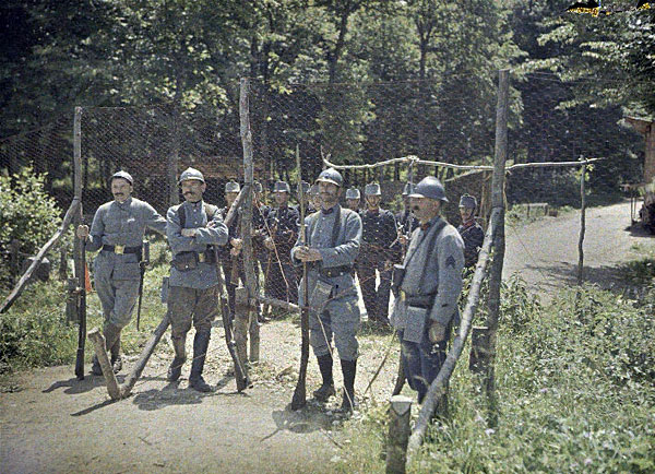 Grillages de la frontière 