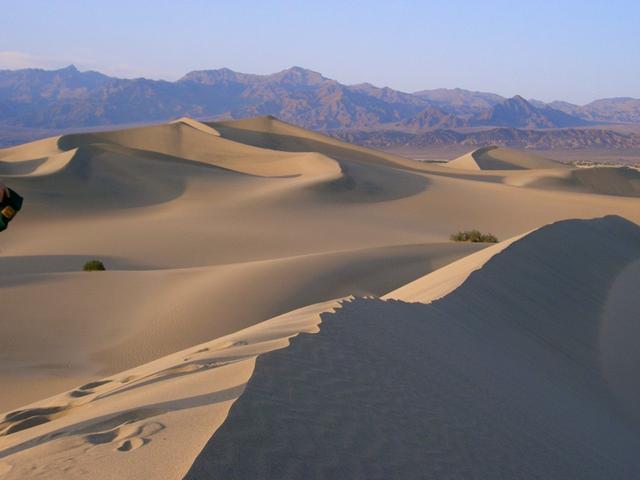 Dunes de sable 