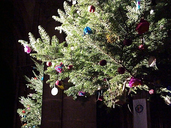 Sélestat : exposition de sapins traditionnels (église Ste-Foy) 