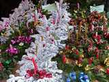 Colmar : marché de Noël