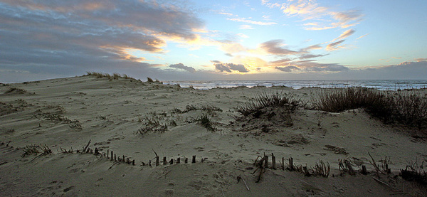 Dune au couchant 