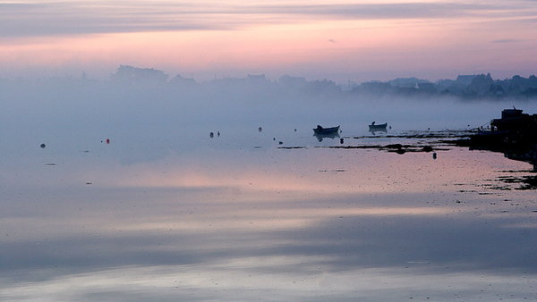 Ria d'Etel (Morbihan) 