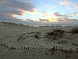 Dune au couchant 