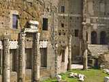 Forum de Trajan : marchés