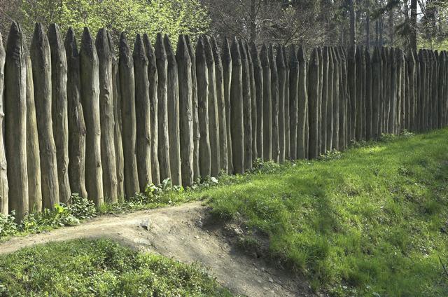 Fossé et palissade du limes