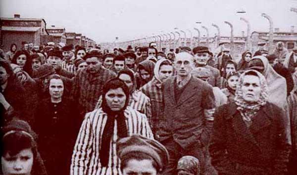 Déportés survivants, à Birkenau