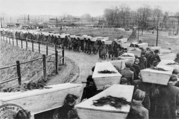 Enterrements massifs des victimes du camp, à Birkenau 