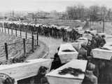 Enterrements massifs des victimes du camp, à Birkenau 