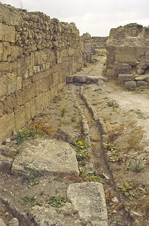 Ugarit : canalisation de tout-à-l'égout 