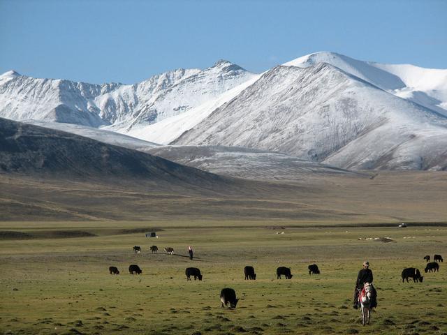 Nomades près du lac Namtso