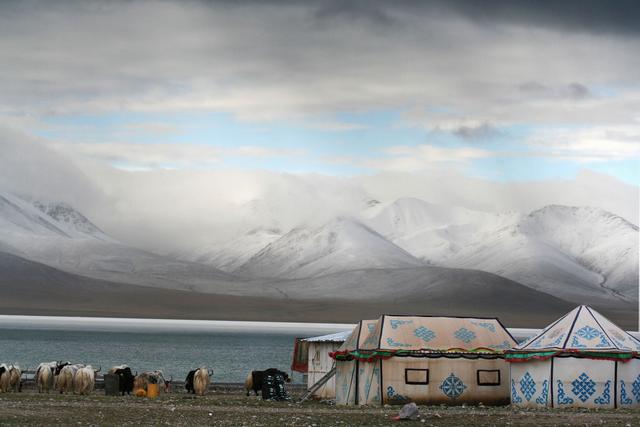 Campement près du lac Namtso