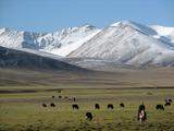 Nomades près du lac Namtso