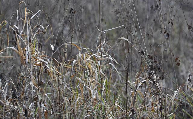 Traces de couleur 