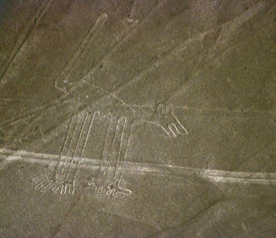 Figures de Nazca : le chien 