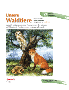 Unsere Waldtiere