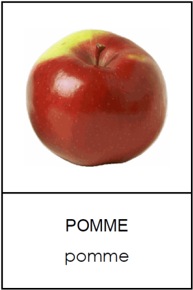 Pomme : une image, un mot