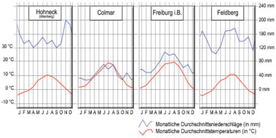 Zeichnung Giulio Tosca (LMZ-RP)