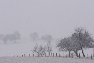 Collines du pays de Hanau (67) - Photo Pierre Kessler