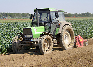 Arbeitende Traktor - Foto Giulio Tosca