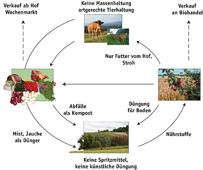 Ökologischer Landbau - Zeichnung Stphane Hibou (CRDP d'Alsace)