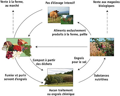 L'agriculture biologique - Illustration Stphane Hibou (CRDP d'Alsace)