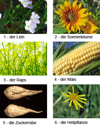 Plantes industrielles - Sources diverses